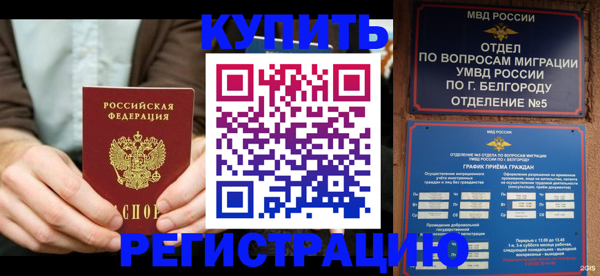 прописка 2025 в Карачеве